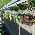 Katharinahof Ferienpension Sibratsgfäll
