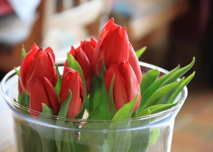 Hotel Katharinahof Ferienpension Sibratsgfall